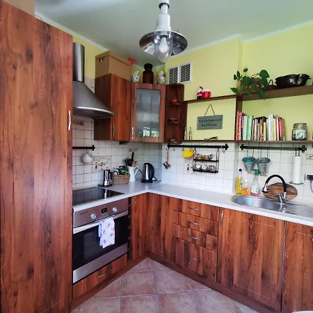 Przytulna Kawalerka Z Ogrodem * Danzica
